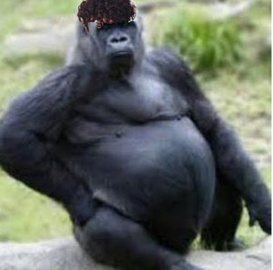 Meet your Posher, Angel